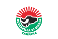 Mozzarella di Bufala Campana DOP